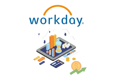 Workday Consultant